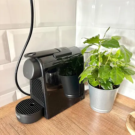 The Corner Apartman *